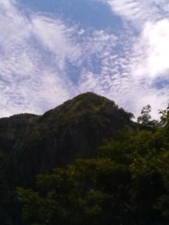 c0042869_1841448.jpg