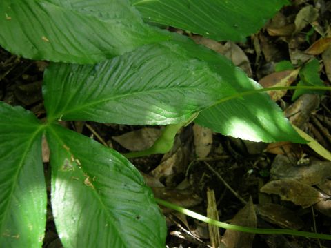 c0042869_1993442.jpg
