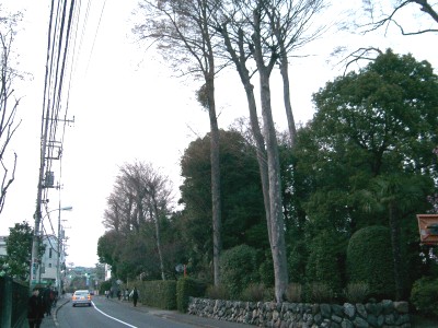 c0112172_22161138.jpg