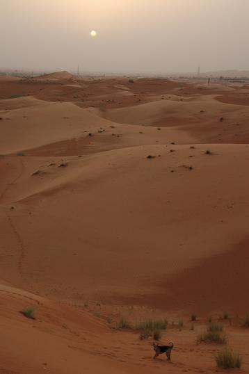 e0066474_20483757.jpg