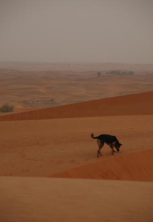 e0066474_21105712.jpg