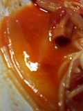f0140174_22261940.jpg