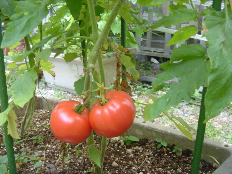 a0004180_23261330.jpg