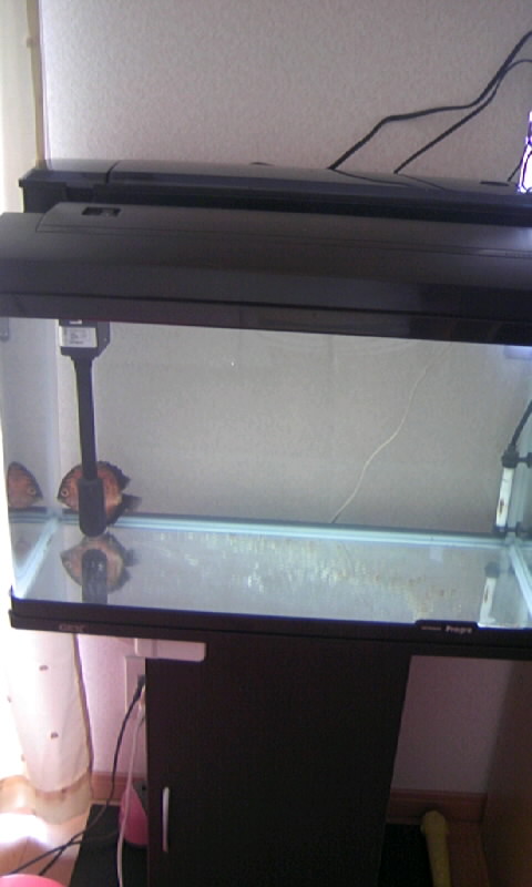 c0020681_13414370.jpg