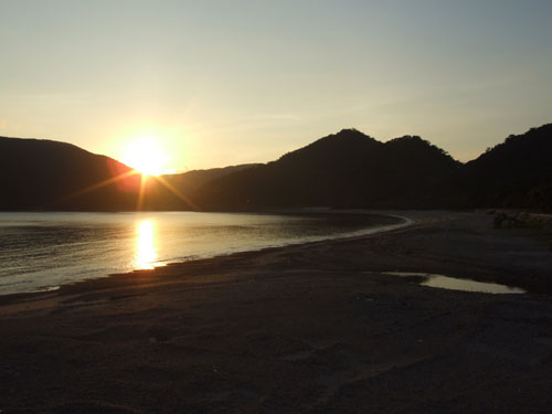 e0028387_216628.jpg