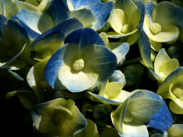 a0007388_13423098.jpg