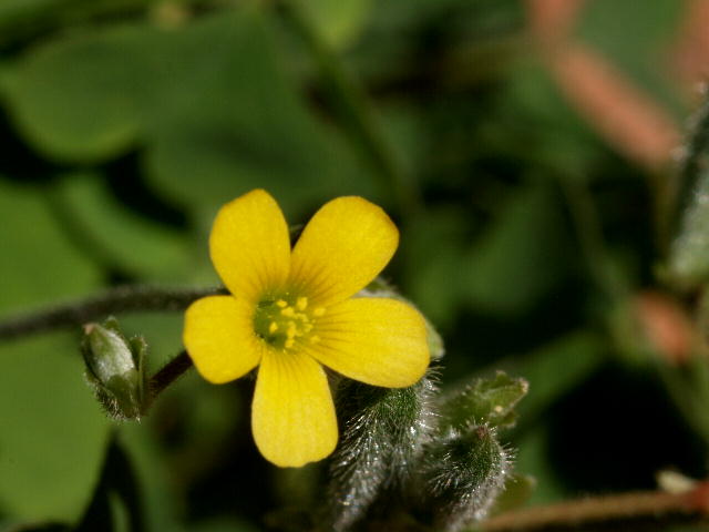 a0007388_13461619.jpg