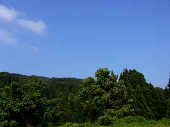 d0088788_21565517.jpg