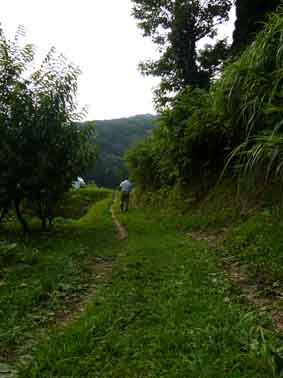 d0088788_21573224.jpg