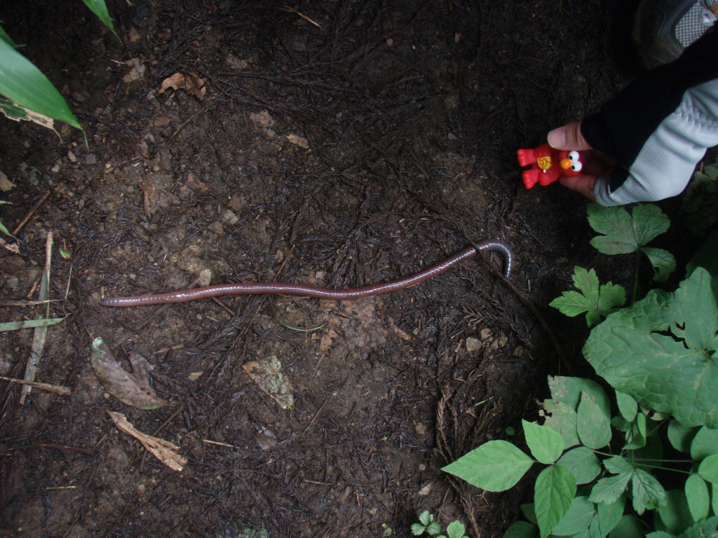 d0034291_0681.jpg
