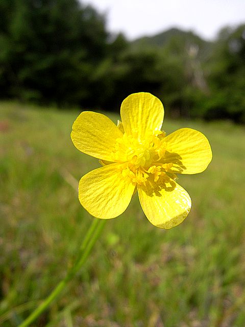 a0093592_22364288.jpg