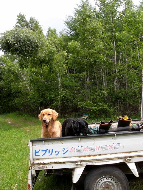 a0093592_22403351.jpg