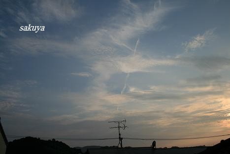 e0122194_2251543.jpg
