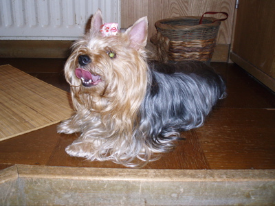 f0130894_2182430.jpg