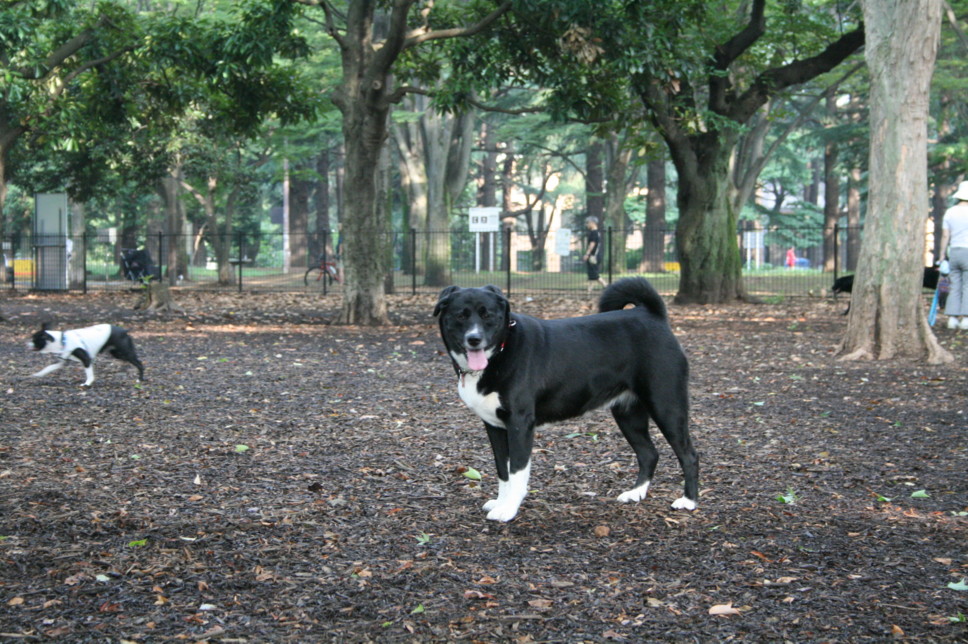 d0070702_1673085.jpg