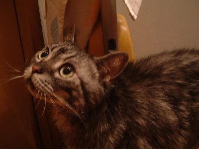 a0079803_22332346.jpg