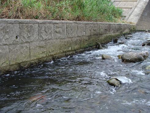 e0123808_2240940.jpg