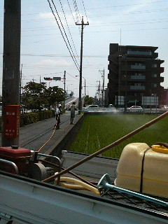 f0127408_16283748.jpg