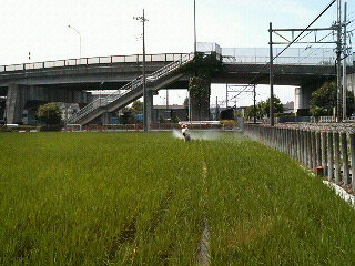 f0127408_16283767.jpg