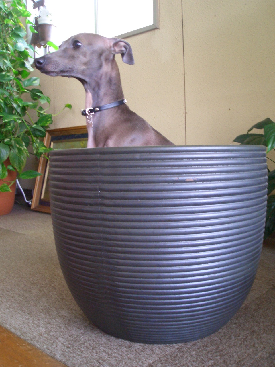 e0141909_2105959.jpg