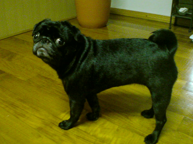 a0074110_14575837.jpg