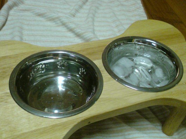 a0074110_14575881.jpg