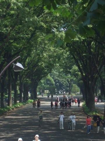 c0133013_17404935.jpg