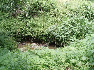 f0092416_15405782.jpg