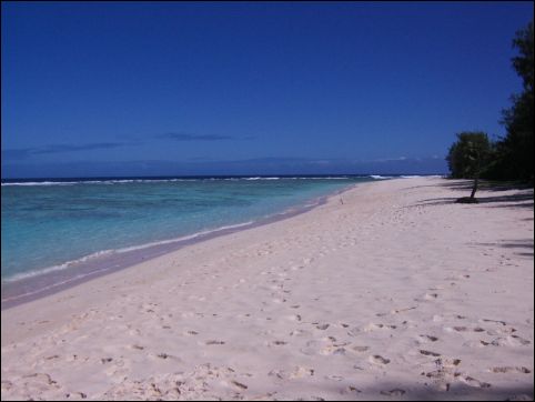 e0123920_21282949.jpg