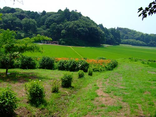 f0147025_21414898.jpg