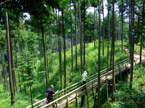 f0147025_2143499.jpg