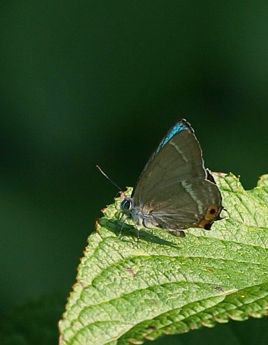c0021726_2241632.jpg