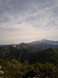f0118332_8271774.jpg