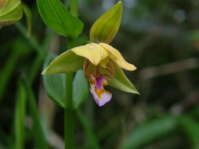 e0145033_20292219.jpg