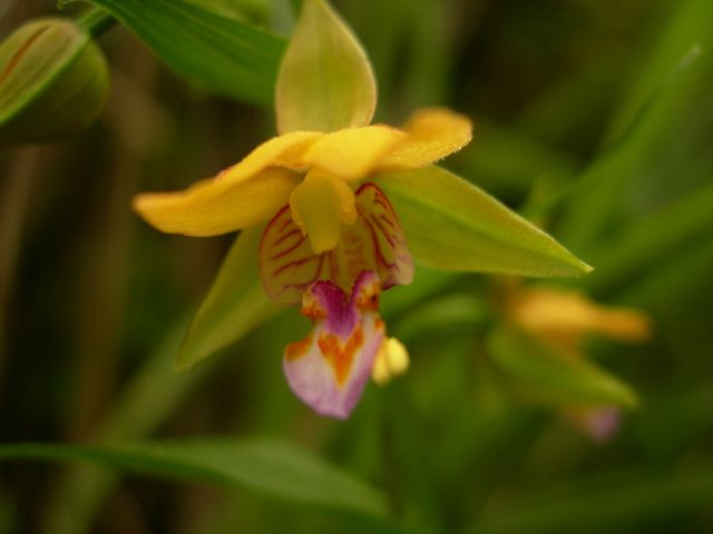 e0145033_21162254.jpg