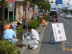b0149237_17384964.jpg