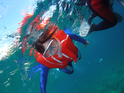 d0065247_21224272.jpg