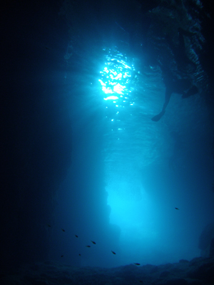 d0065247_21232843.jpg