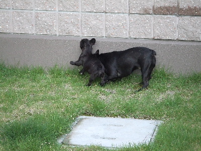 e0126054_17533812.jpg