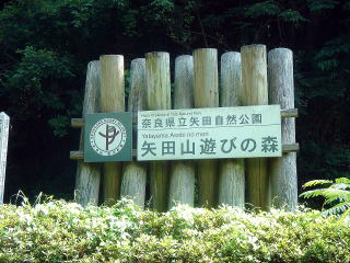 e0083155_221129100.jpg