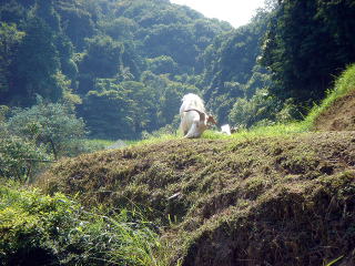 e0083155_2211487.jpg
