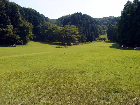 e0083155_22121067.jpg