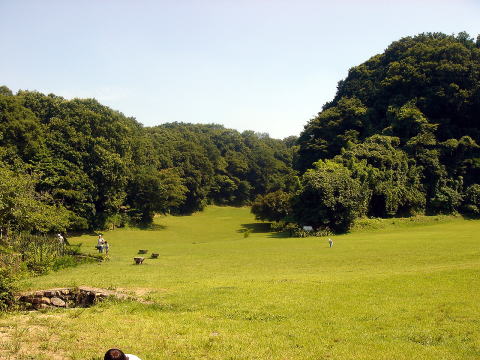 e0083155_22121937.jpg