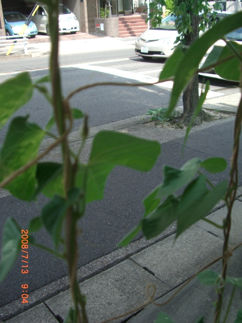 b0071558_19454654.jpg