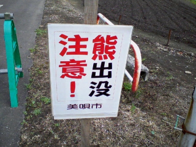 a0004359_2050079.jpg