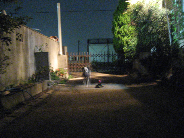 b0107965_20595697.jpg