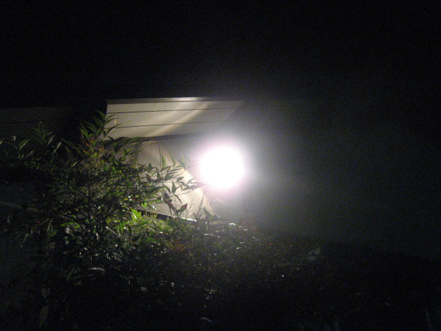 b0107965_2135551.jpg
