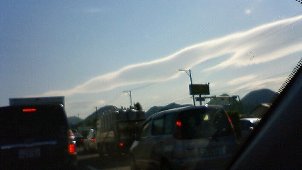 d0028665_174009.jpg