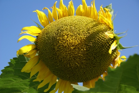 a0091666_20363078.jpg