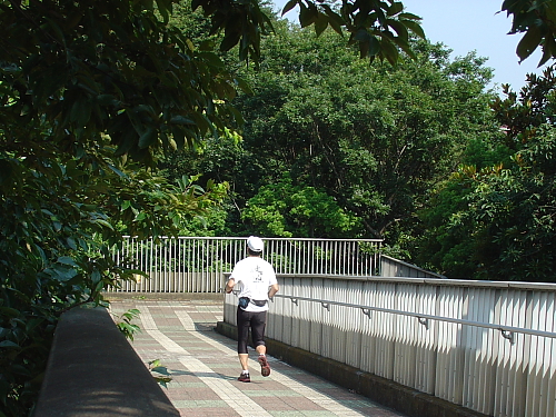 f0166066_10183011.jpg
